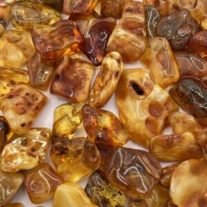 Baltic Sea Amber