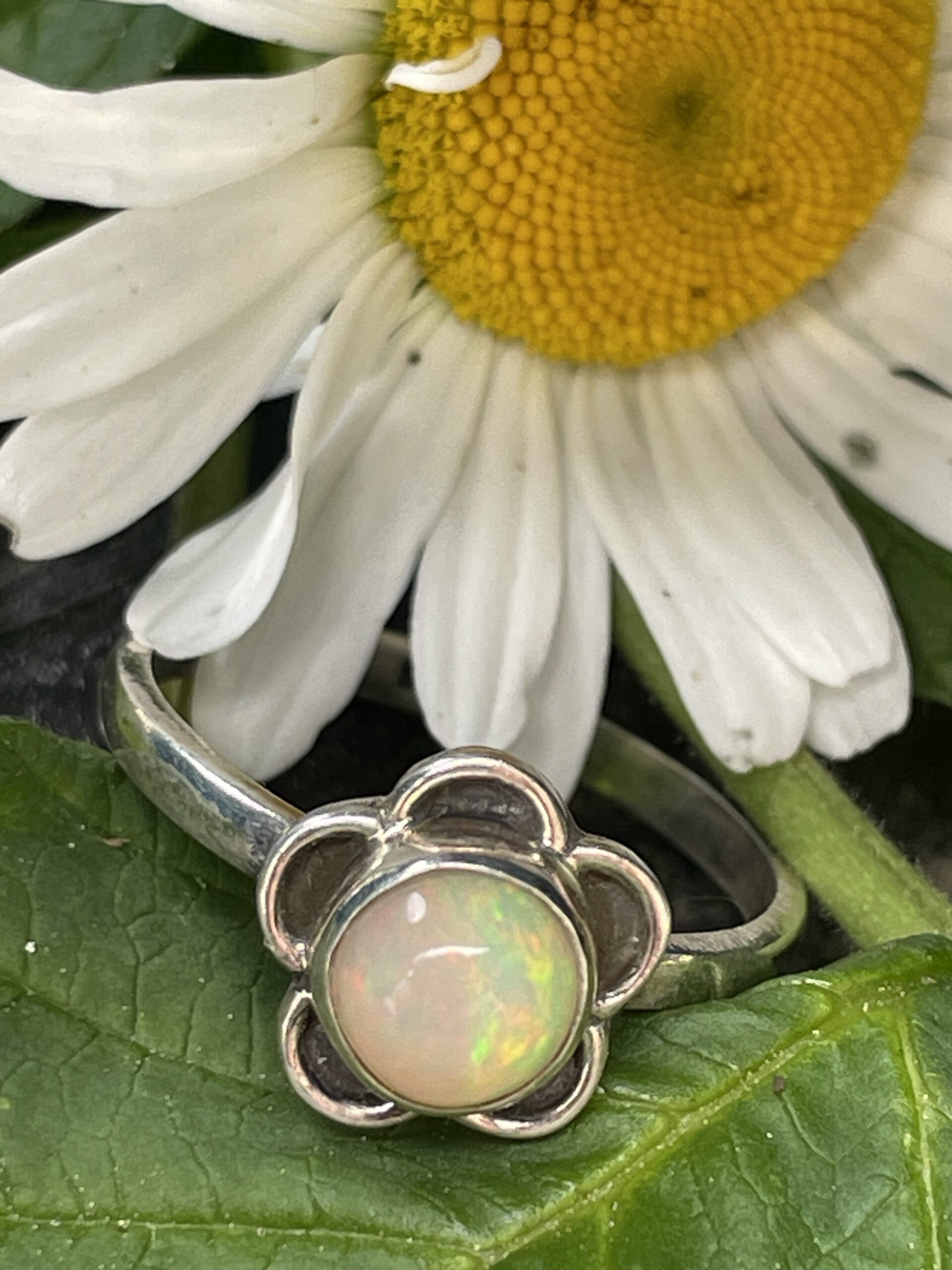 Ethiopian White Opal Ring - Image 2