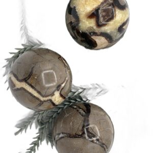 Septarian